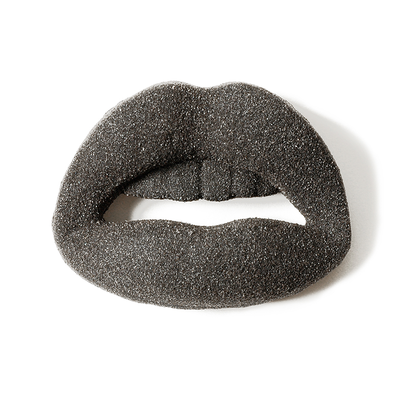 Blank | Sandlip | Brooch | 2007